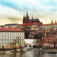 Контрасты мегаполиса. :: arkadii 