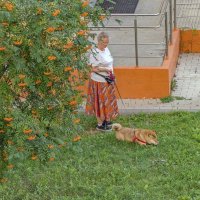 Полежать на травке :: Валерий Иванович