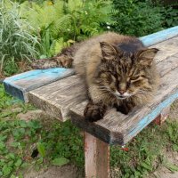 Боец. :: Владимир Волик