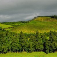 Magic Azores 62 :: Arturs Ancans