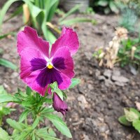 ,,, :: Сергей Тимоновский