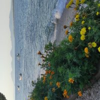 Приморский городок :: Светлана Баталий