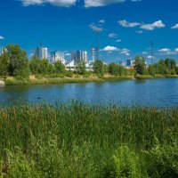 Мещерское озеро :: Александр Синдерёв