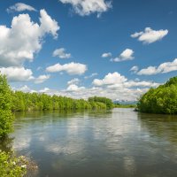 ... :: Жора Житников