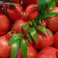 Бекгроунд из гранат. :: Лилия *