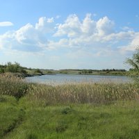 У пруда. :: Виктор 