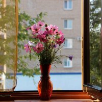 Мой дом. :: Венера Чуйкова Мой дом. :: Венера Чуйкова