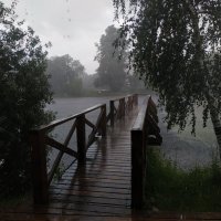 Как из ведра, даже как из многих ведер :: Андрей Лукьянов