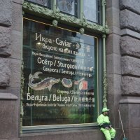 нарядный бездельник :: zavitok *