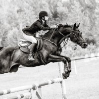 Конкур :: SanSan 