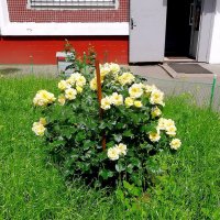 Городские зарисовки. :: Ольга Довженко Городские зарисовки. :: Ольга Довженко