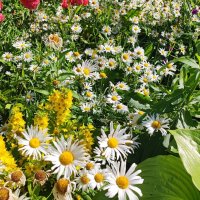 ,,, :: Сергей Тимоновский