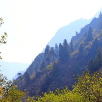 ПО НИЗАМ. :: Виктор Осипчук ПО НИЗАМ. :: Виктор Осипчук