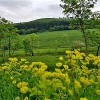 СЕВЕРНЫЙ КАВКАЗ :: Tata Wolf