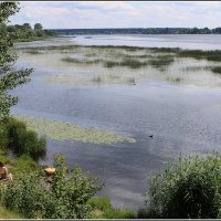 Идиллия :: Aleksandr Gal