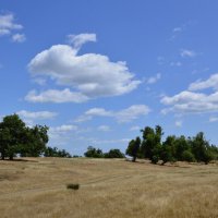 Степь. :: Виктор Степь. :: Виктор