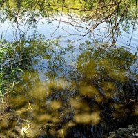 Свет и тени в отражениях... :: Нина Бутко