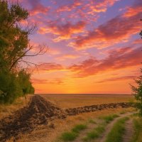 Закат в июле :: Валерий Ткаченко