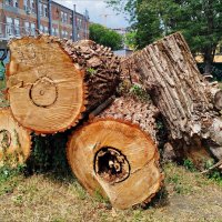 Кольца жизни! :: Надежда Кольца жизни! :: Надежда