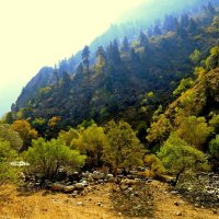 ПО НИЗАМ. :: Виктор Осипчук