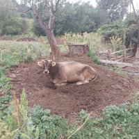 Talgar. :: Murat Bukaev 