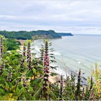 Лето. Утро. Бухта. :: Валерия Комова