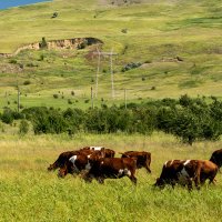 Окрестности :: Игорь Сикорский
