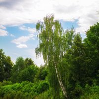 у воды в белом наряде :: Николай Колобов