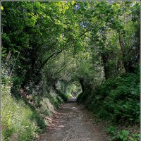 Дорога в лето :: Aleksandr Gal