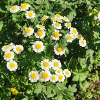 ,,, :: Сергей Тимоновский