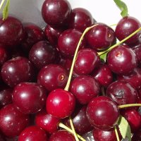 Урожай на варенье... :: Freddy 97