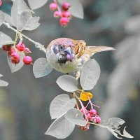 очень вкусный день... :: Andrey Bragin 