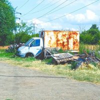 Отъездила газель своё. :: Игорь Солдаткин