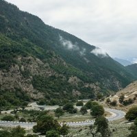 Гимры :: Лилия . Гимры :: Лилия .