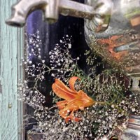 Букет чаю :: sorovey Sol