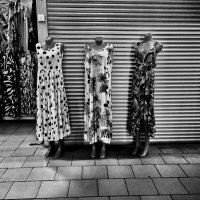 **** :: Алексей Архипов **** :: Алексей Архипов