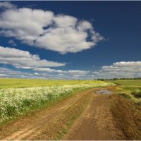 Летний этюд :: Валентин Котляров