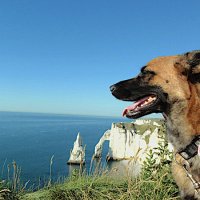 Мира :: А  И М