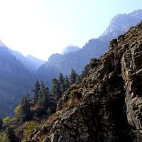 ПО НИЗАМ. :: Виктор Осипчук