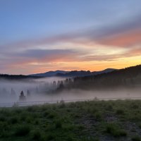 Туман :: А  И М