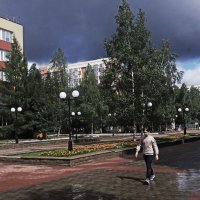 Июль...Надвигается дождевая  туча! :: Владимир 