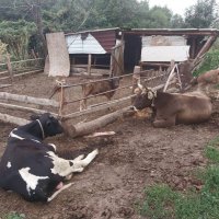 Talgar. :: Murat Bukaev Talgar. :: Murat Bukaev