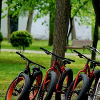 В парке ожидание клиентов... :: Николай Саржанов В парке ожидание клиентов... :: Николай Саржанов