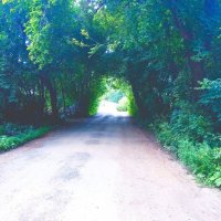 Проход, а куда? :: Игорь Солдаткин Проход, а куда? :: Игорь Солдаткин