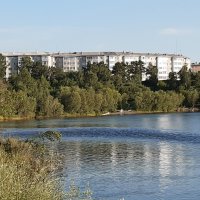 Июль - середина лета :: Галина Минчук