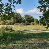 Июль - середина лета :: Галина Минчук Июль - середина лета :: Галина Минчук