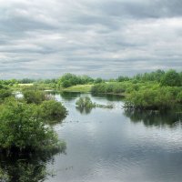 Река Видогощь :: Александр Ильчевский 