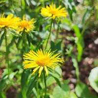 ,,, :: Сергей Тимоновский ,,, :: Сергей Тимоновский