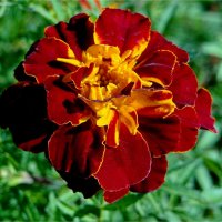 ЛЕТО :: Юрий Владимирович 34