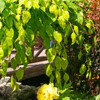 Парк Лога :: Татьяна Пальчикова Парк Лога :: Татьяна Пальчикова